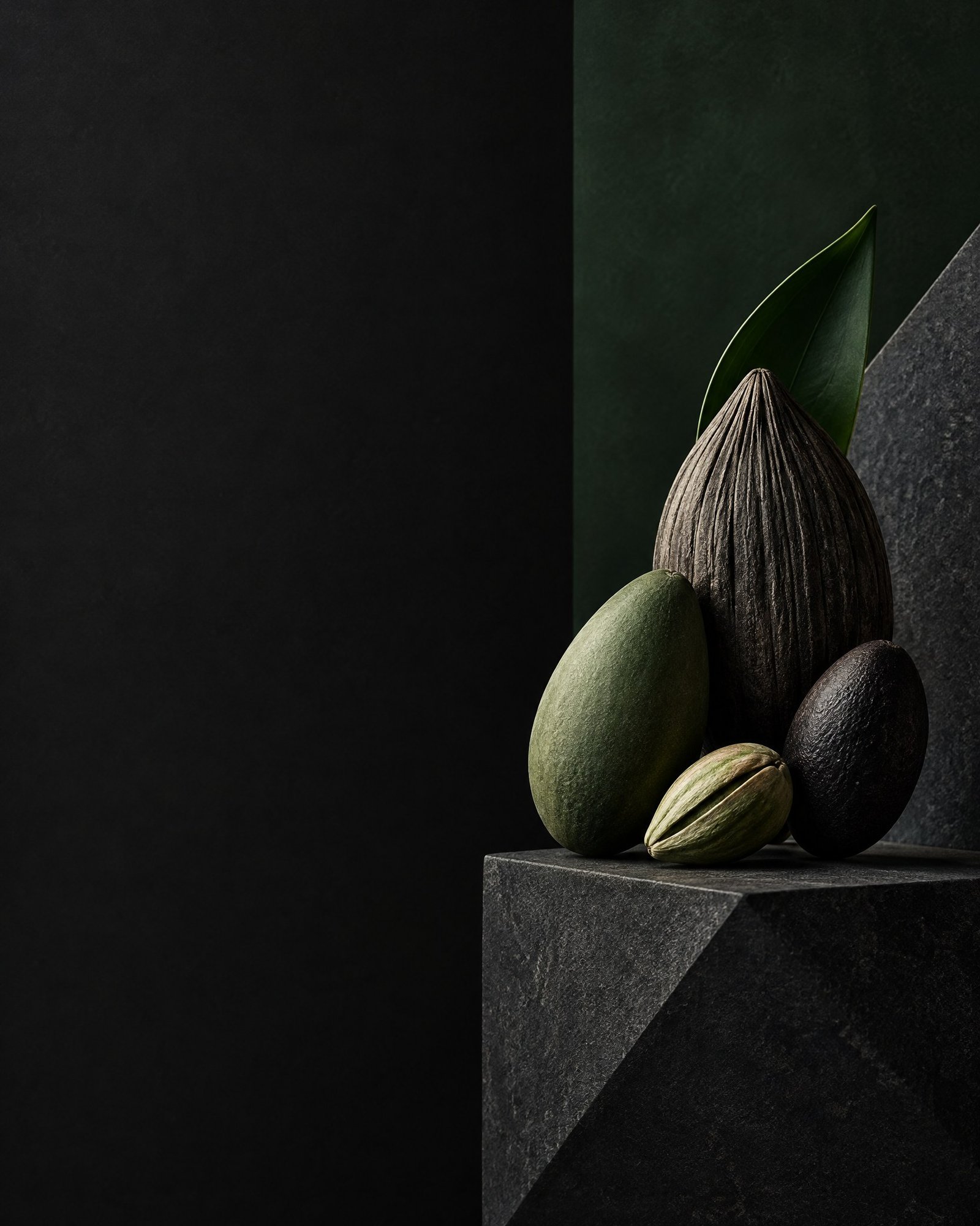 Abstract seed-shaped forms arranged against a dark charcoal and forest-green editorial backdrop.