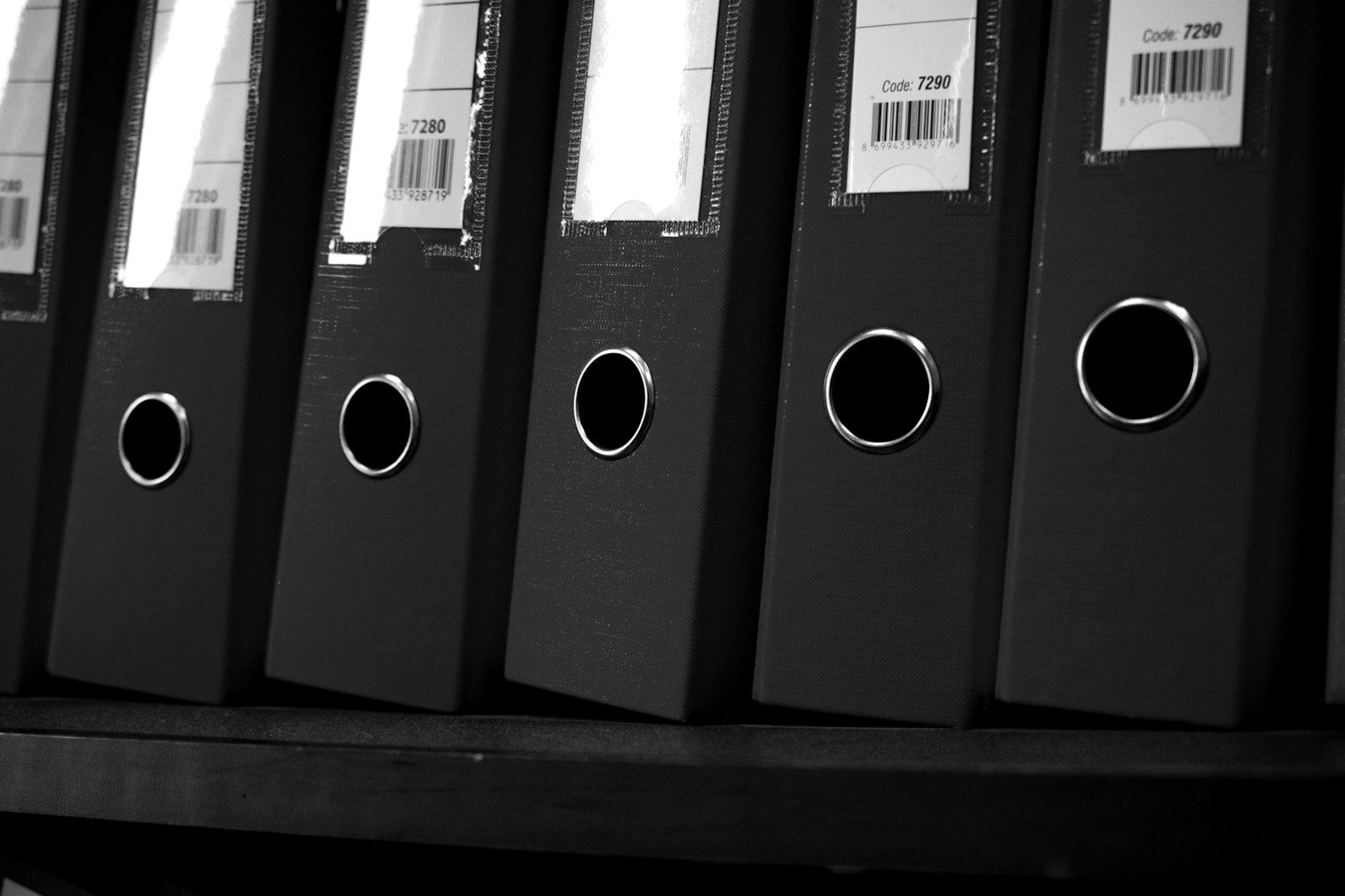 Annual return filing Bangladesh — company secretary preparing the Schedule X annual list of members