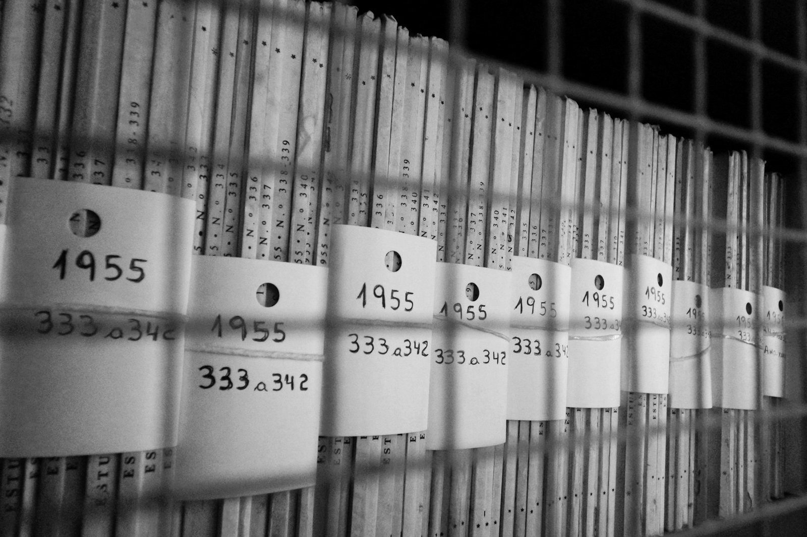 Bail cancellation Bangladesh — evidence of witness tampering being prepared for a cancellation application