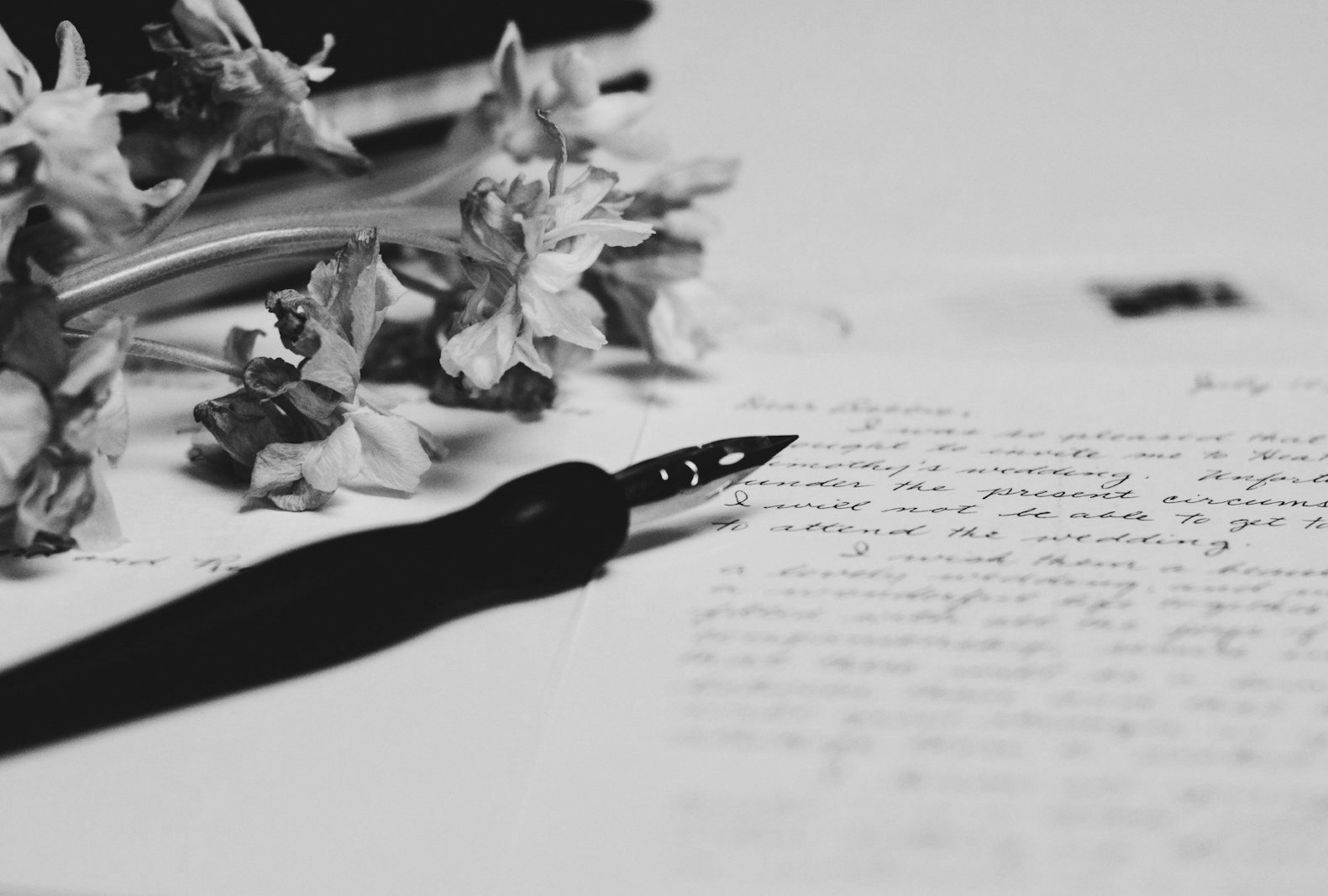 Bail cancellation Bangladesh — drafting a bail petition and case synopsis for the Dhaka Judge Court
