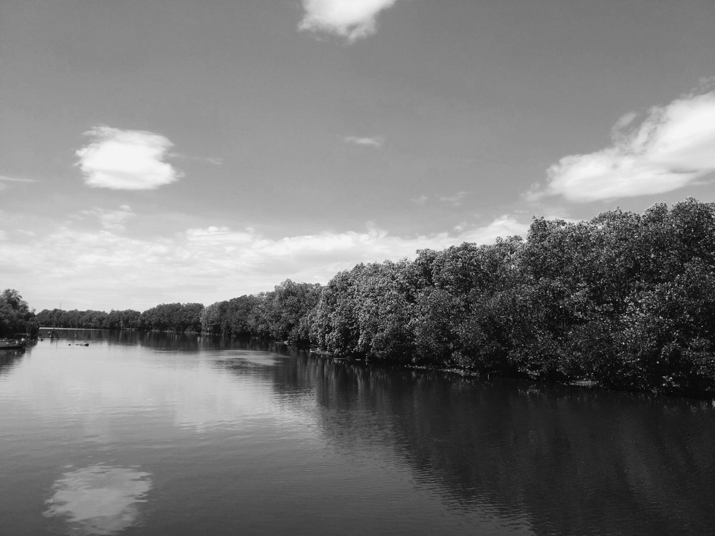 Bangladesh Environment Conservation Act — industrial chimneys and emissions regulated by the Department of Environment