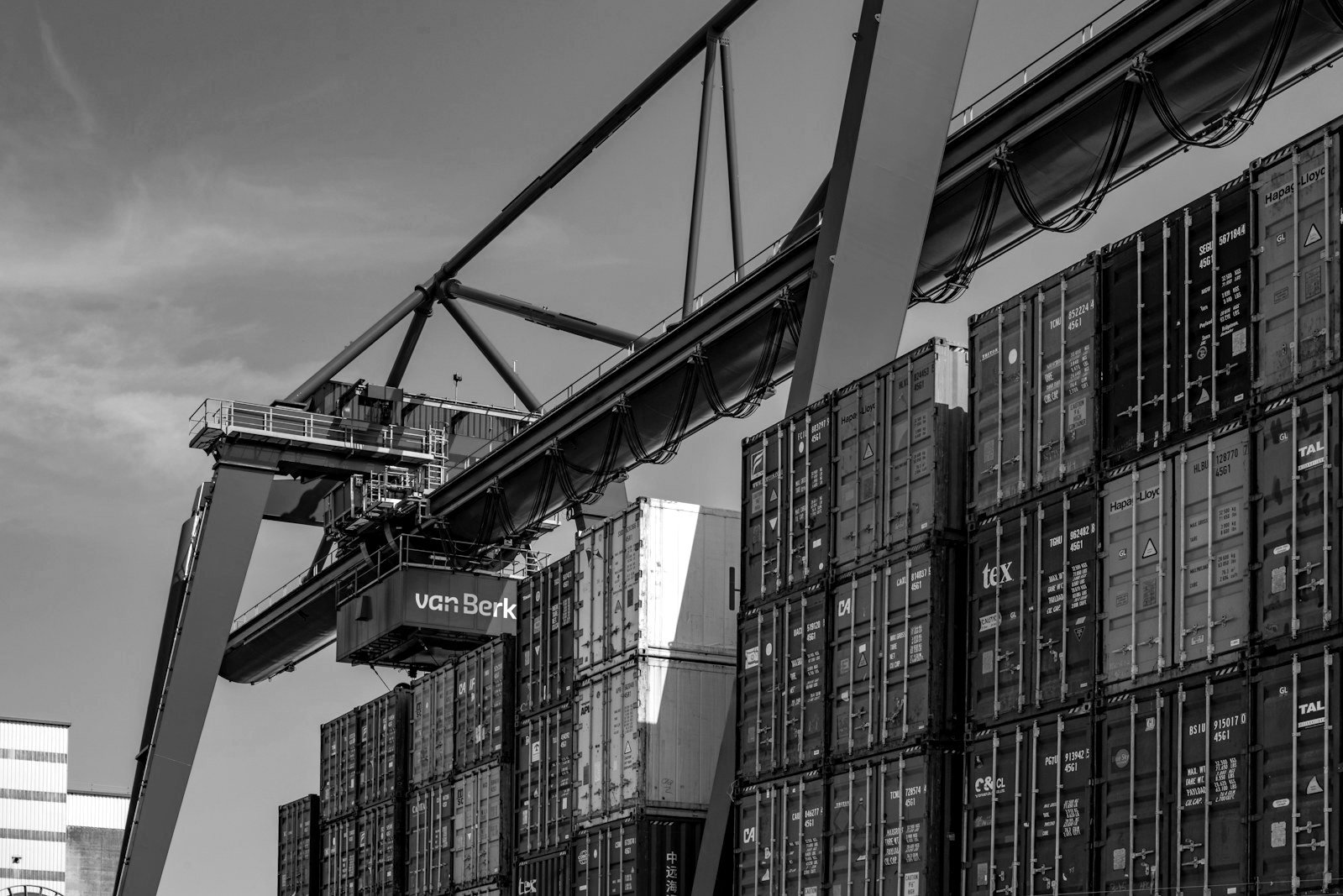 Bill of lading dispute Bangladesh — gantry cranes working containers at a busy terminal