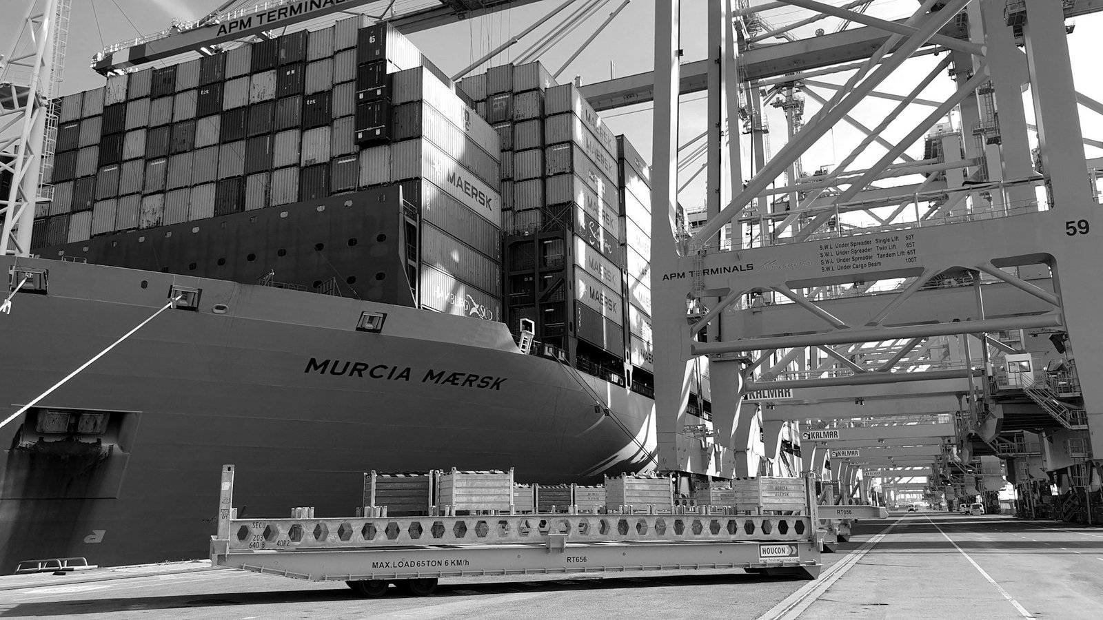 Customs writ petition Bangladesh — bank guarantee supporting provisional release of goods