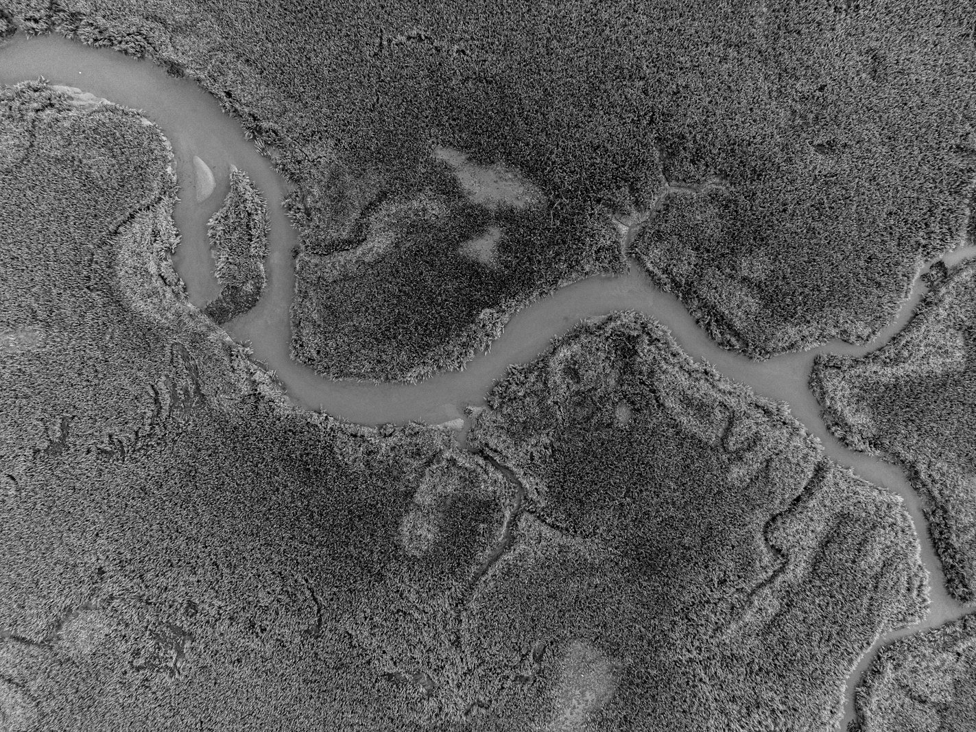 Environmental law in Bangladesh — river and riverside industry under the Environment Conservation Act 1995