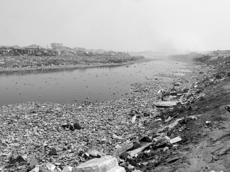 Environmental Litigation in Bangladesh
