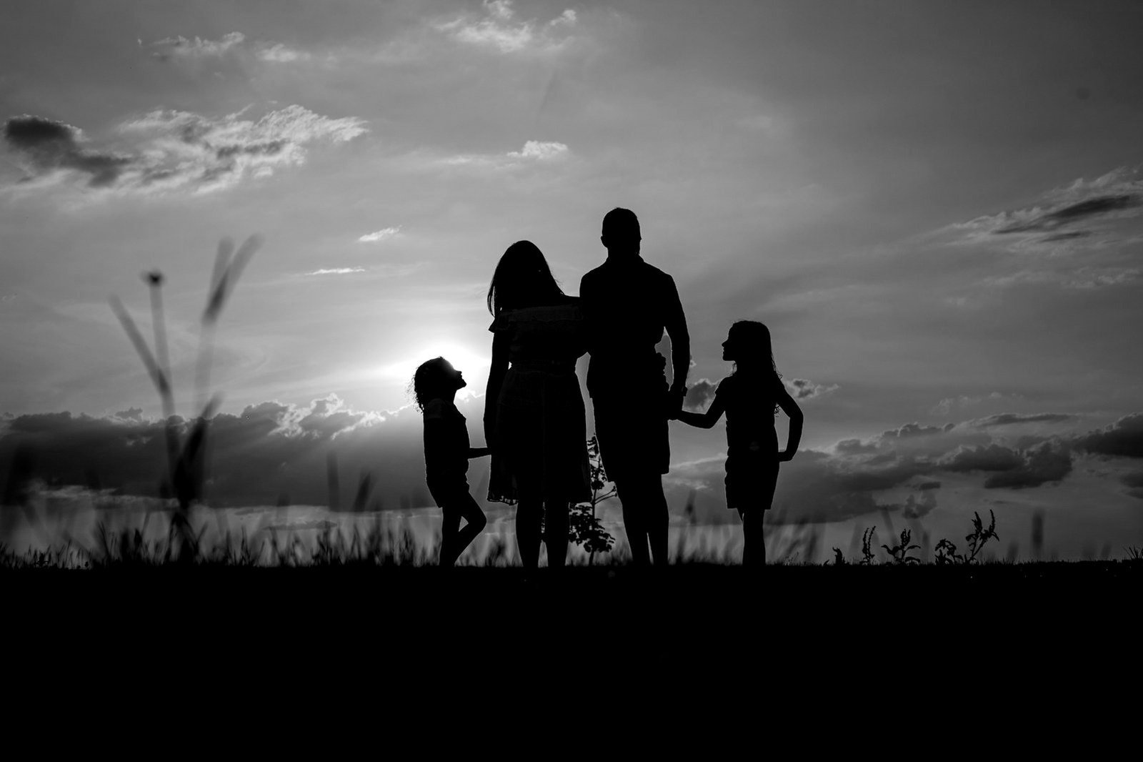 Family court procedure Bangladesh — lawyer preparing a family suit plaint with a client