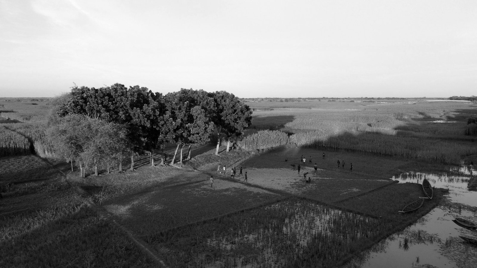 Herencia en Bangladesh — arrozales y tierras agrícolas familiares