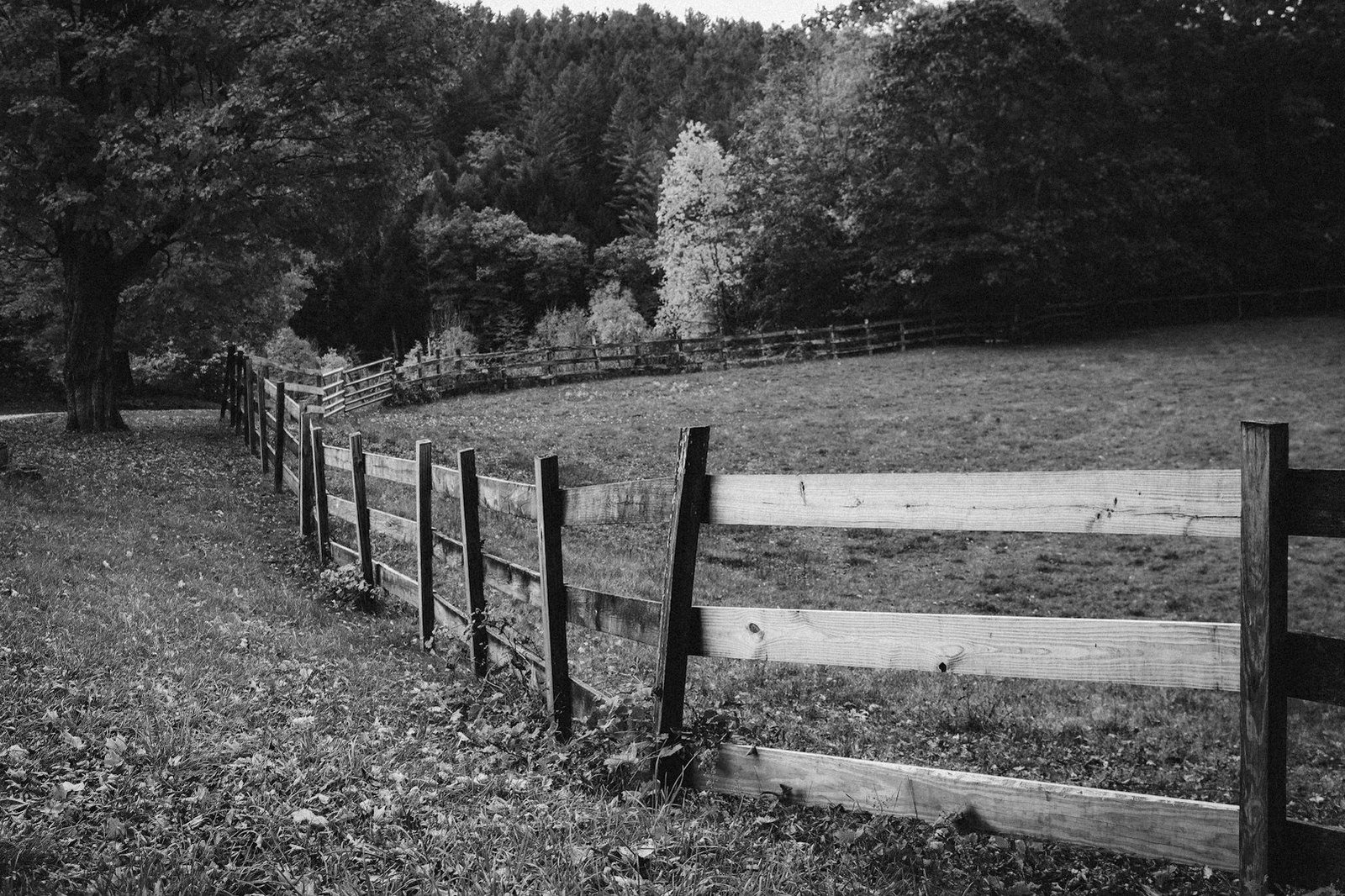 How to resolve land disputes Bangladesh — civil court hearing a title and possession suit