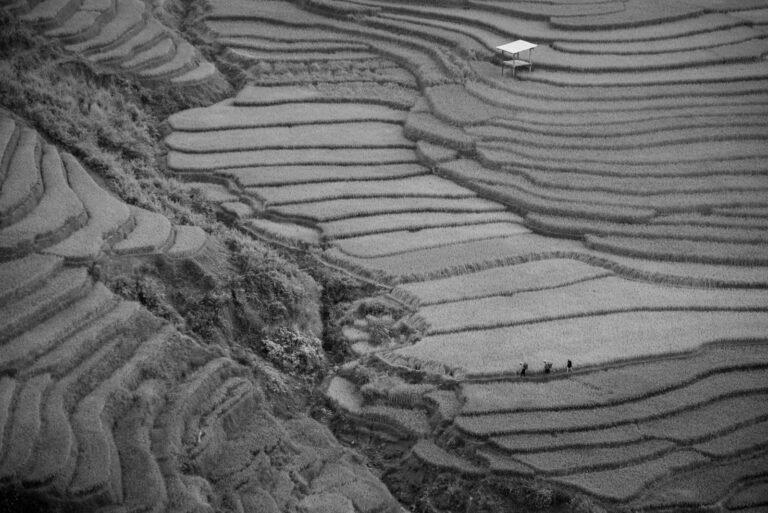 Khatian Correction in Bangladesh 2026: Survey Objections, Land Survey Tribunal Suits and AC Land Corrections