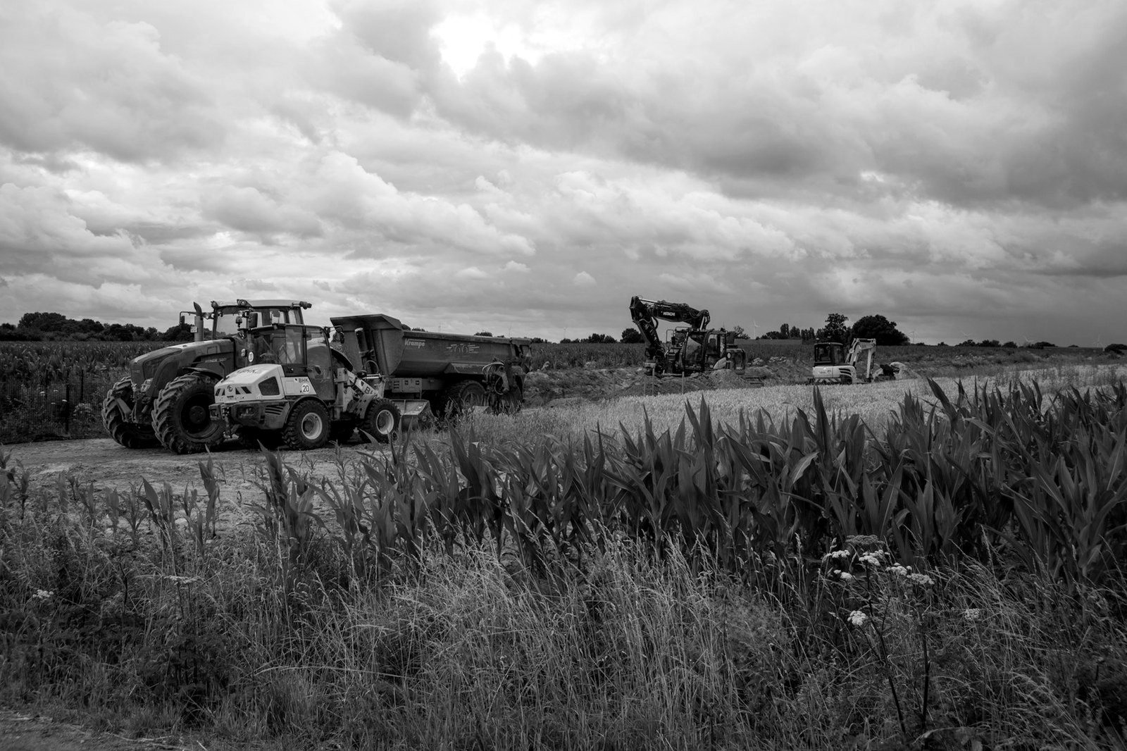 Land acquisition writ in Bangladesh — farmland marked for a public infrastructure project