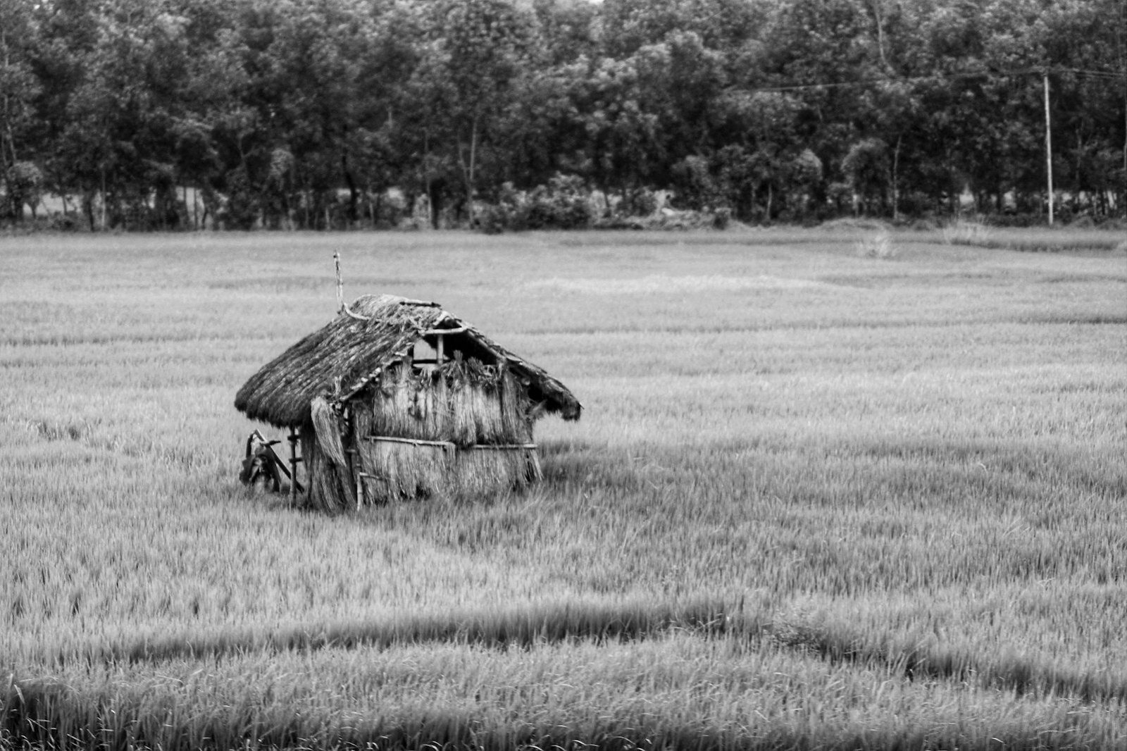 Land mutation Bangladesh — revenue appeal file and land records under review