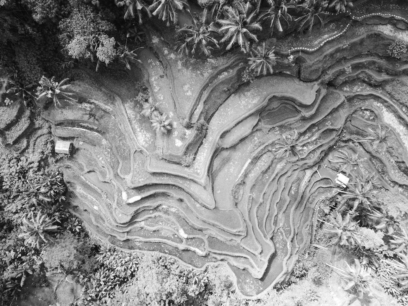 Land use regulations Bangladesh — farmland at the edge of an expanding town