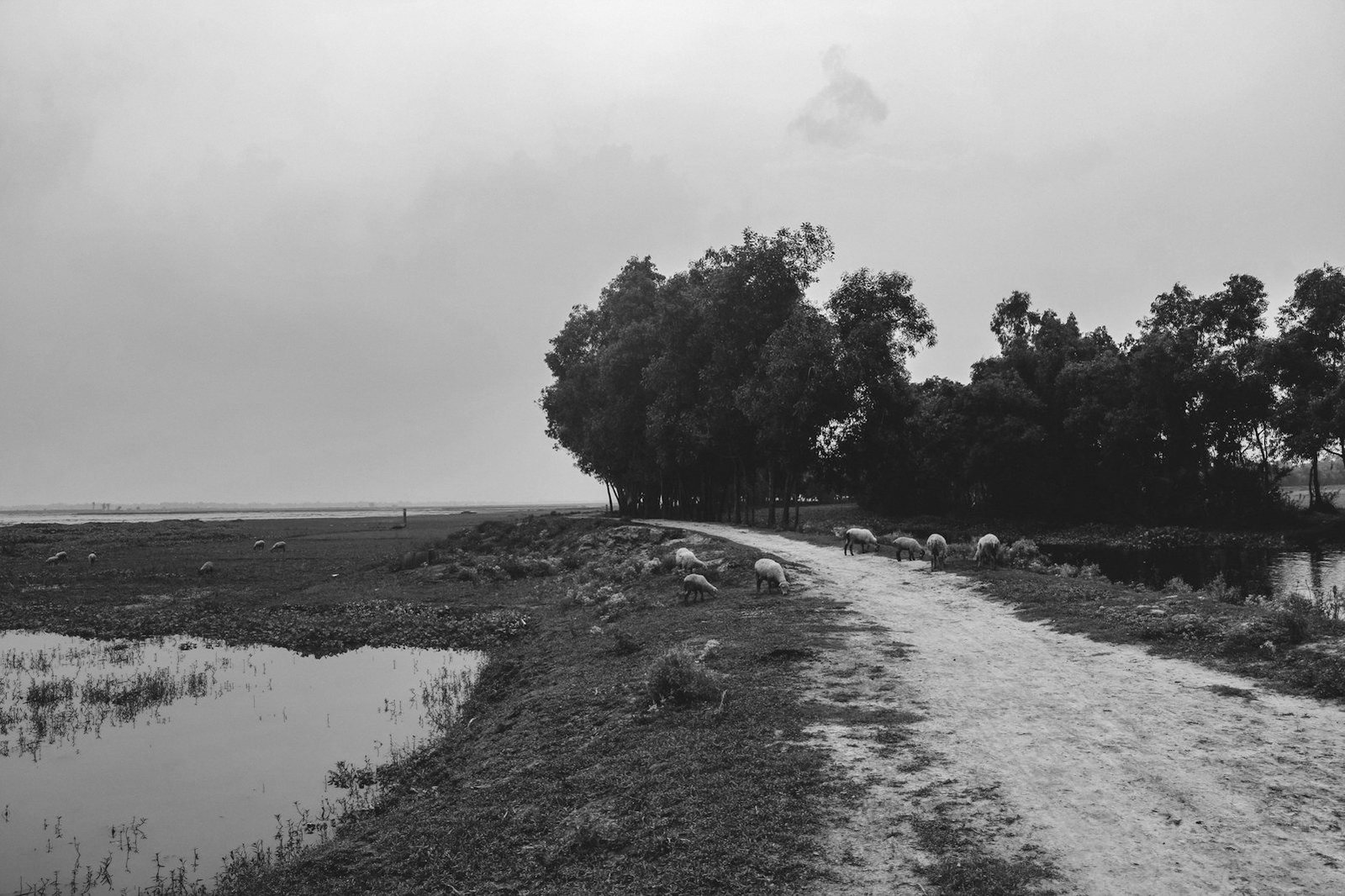 Locus standi in writ petitions — flood-affected river landscape behind the Flood Action Plan case