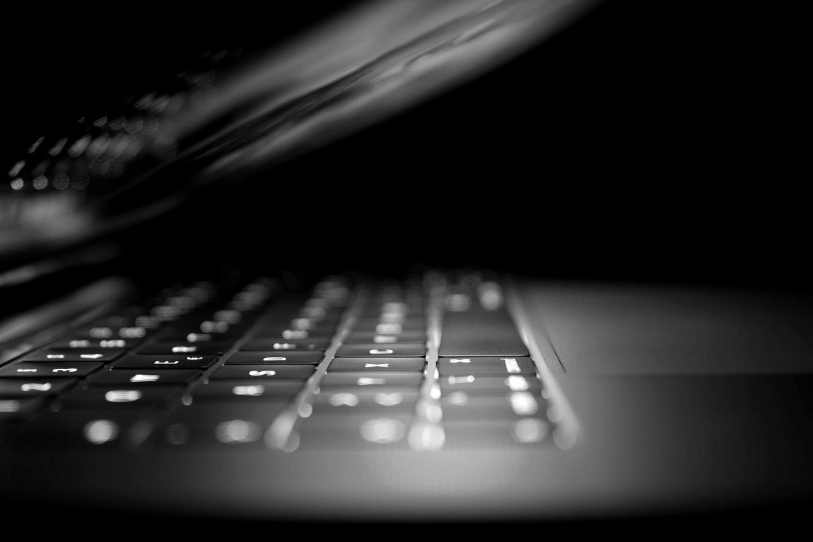 Money laundering case bail Bangladesh — laptop and digital evidence in a cyber fraud prosecution