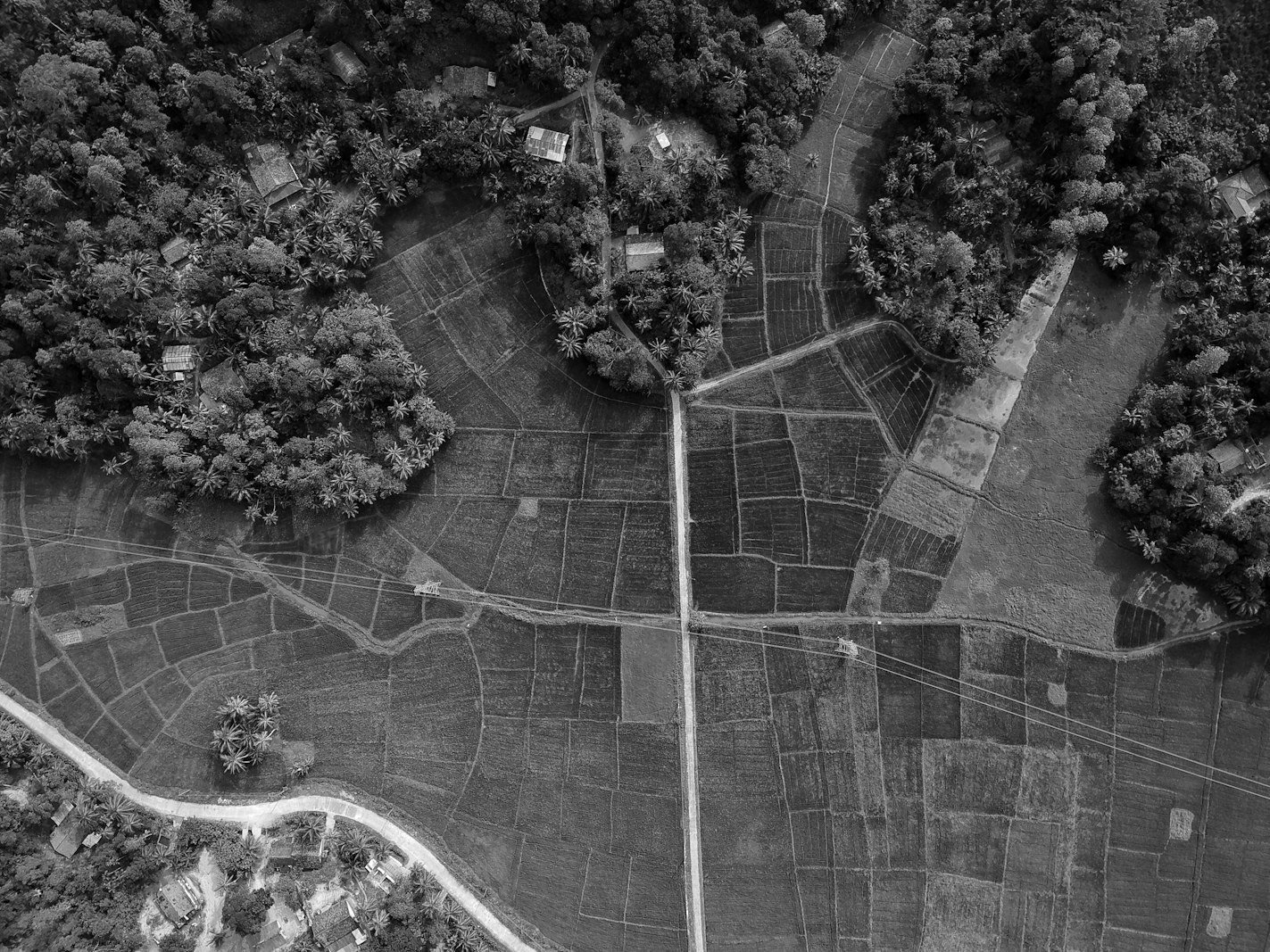 Partition suit in Bangladesh — jointly owned agricultural land divided among co-sharers
