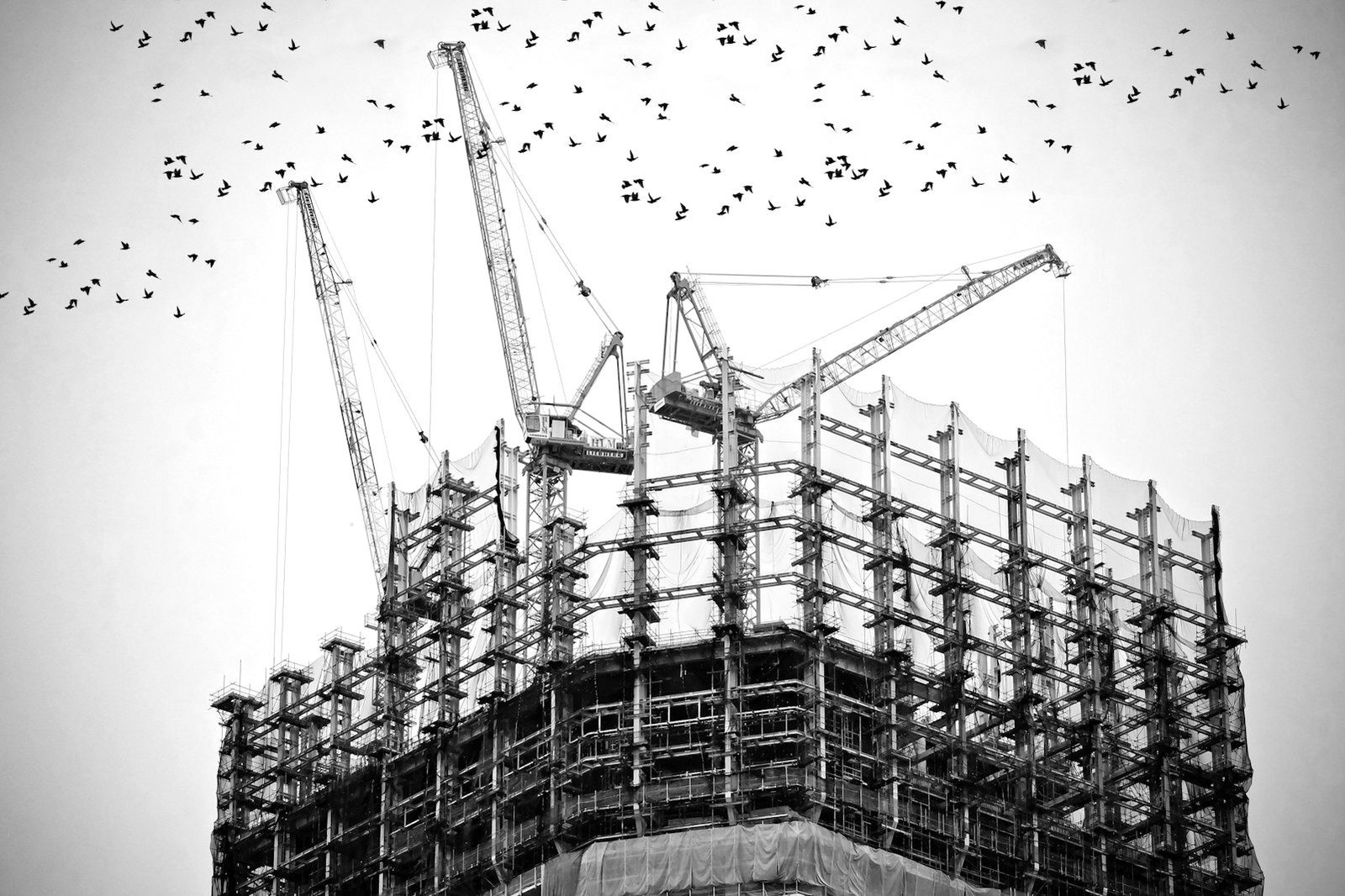 Procurement complaint review panel Bangladesh — expert panel deliberating on a bidder's appeal