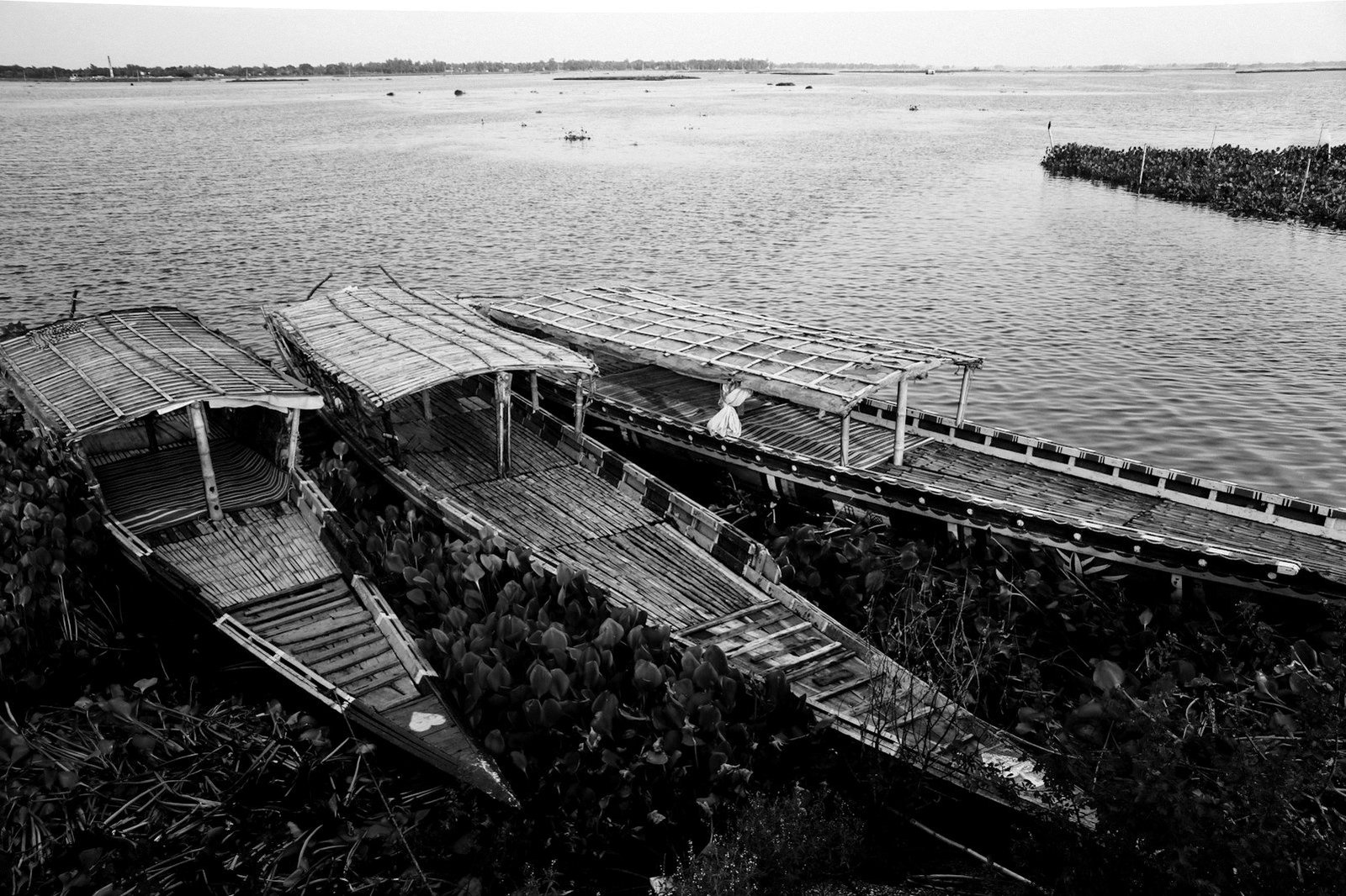 Public interest litigation in Bangladesh — river and wetland protected by court directives