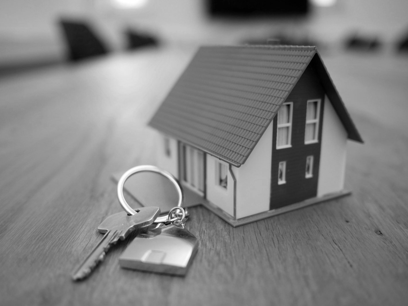 Real estate law Bangladesh — property lawyer advising clients on a land dispute