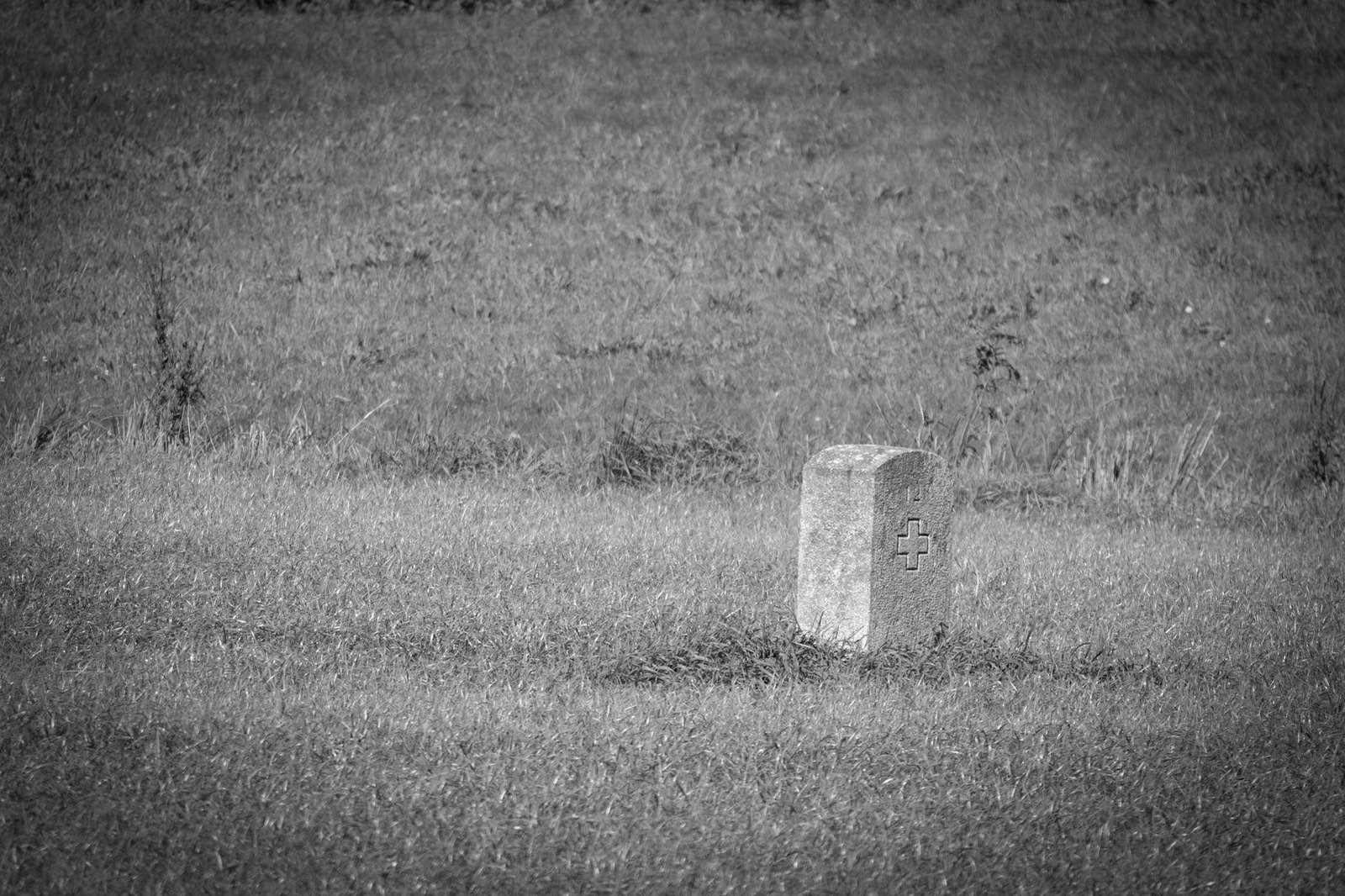 Recovery of possession Bangladesh — rural field and boundary markers used as evidence