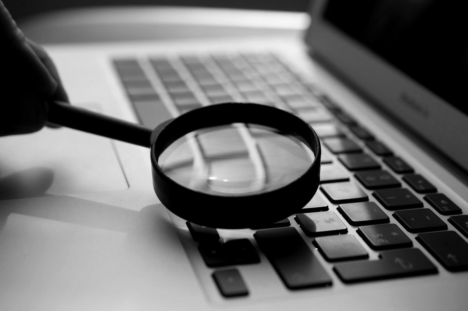 Supreme court case search Bangladesh — checking a case history on a laptop before a hearing