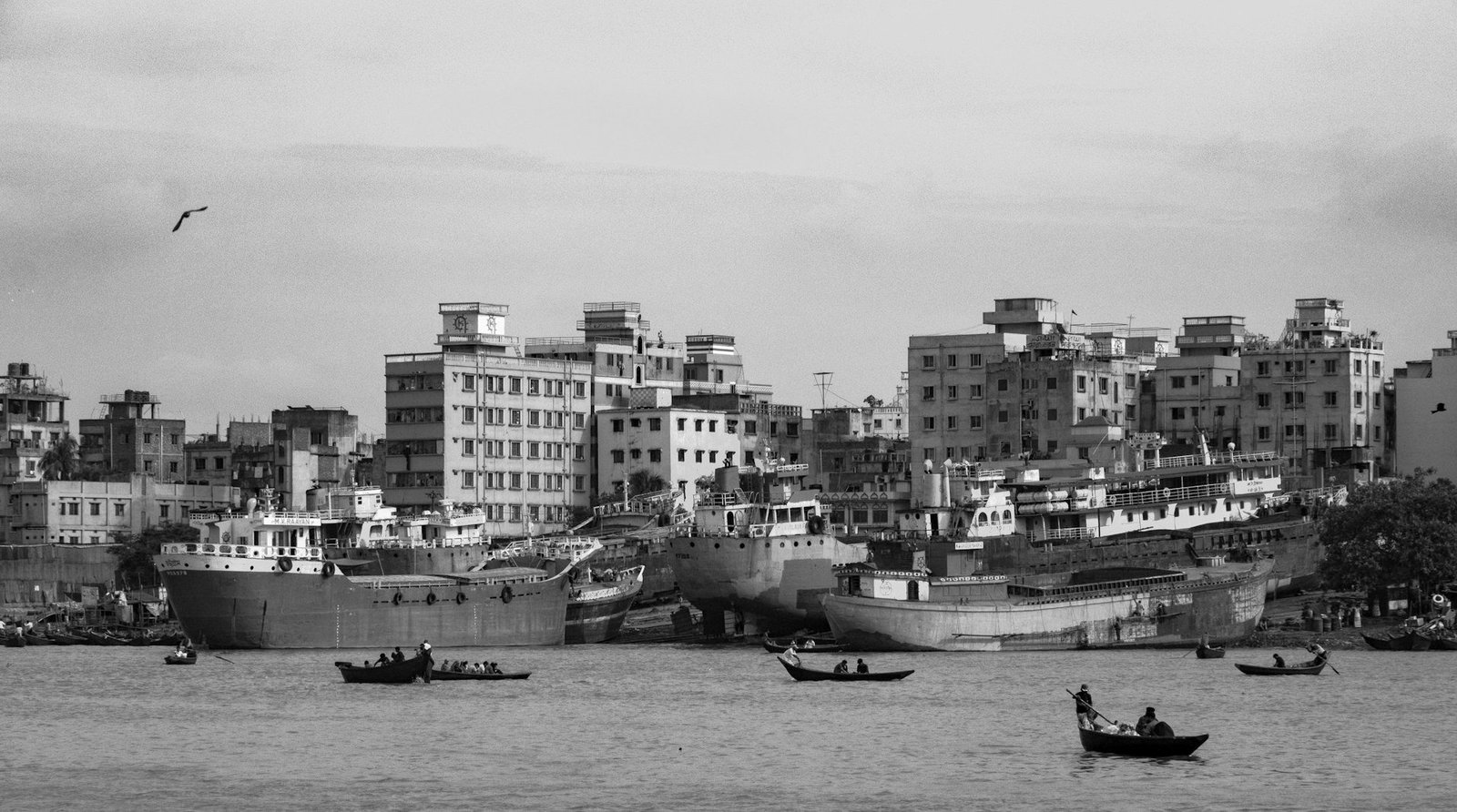 Writ against Bangladesh Bank — central bank building representing the regulator under judicial review